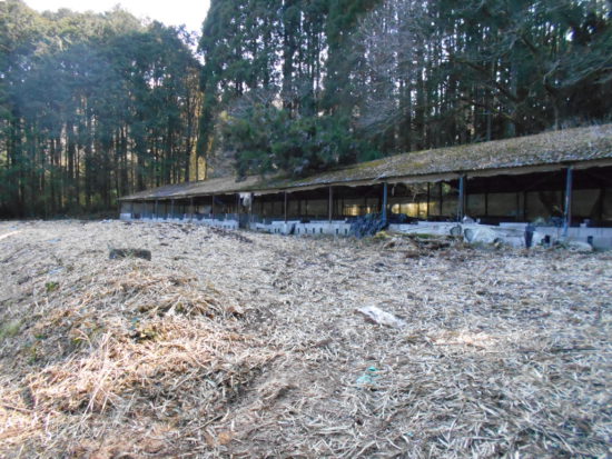 えびの市大字末永
